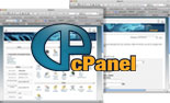 cPanel