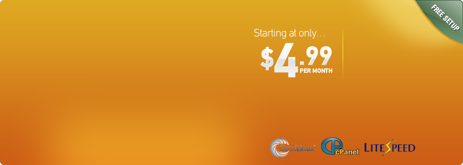 Affordable Web Hosting